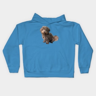 Cute Havanese Dog Kids Hoodie